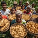 a group of smiling sierra leonean farmers standing together proudly in their farmland with baskets of cassava, corn, and cashews, symbolizing empowerment and unity.