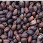 screenshot 2025 08 24 003149