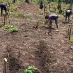 whatsapp image 2025 08 24 at 13.40.31 f7df21dc