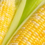 corn