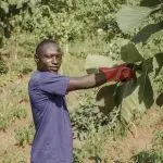 portrait countryside worker posing
